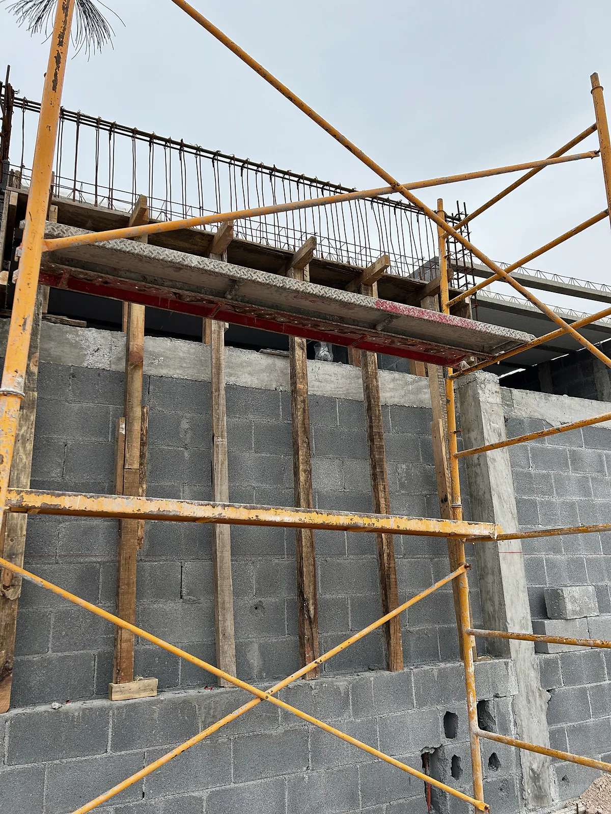 Muro de block con andamio tubular y la cimbra de madera de la trabe, en el Hospital Veterinario Municipal de Reynosa
